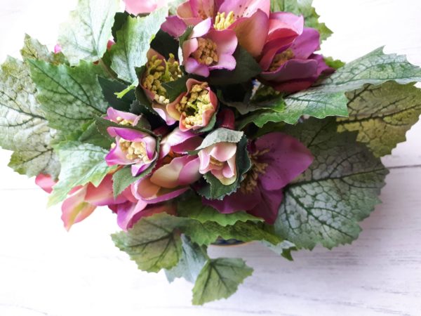 Hellebore flowers