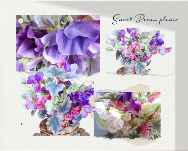 Collage of sweet pea images