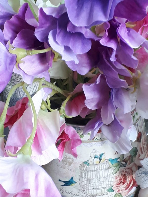 purple and pink sweet peas