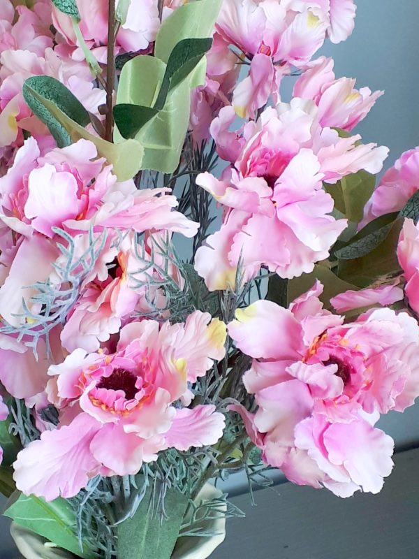 Pink frilly cosmos blossom