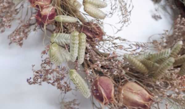 Image of quaking grass and dried nigella flowers