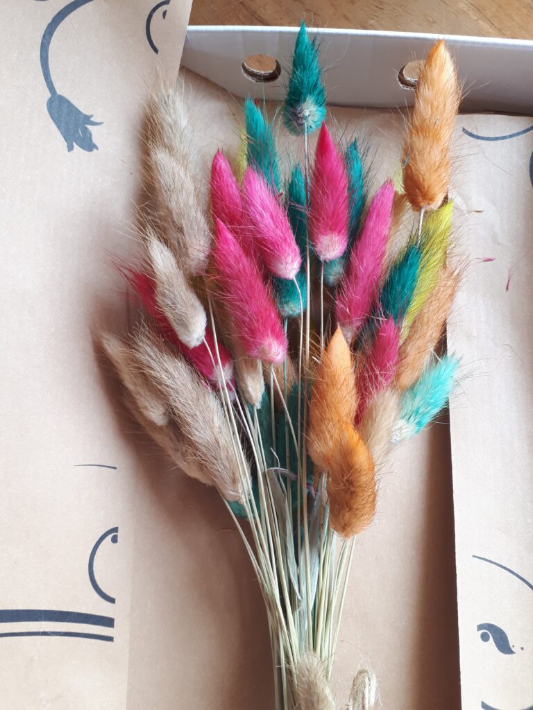 Bunch of bunny tail grasses dyed in pink, turquoise, orange and yellow