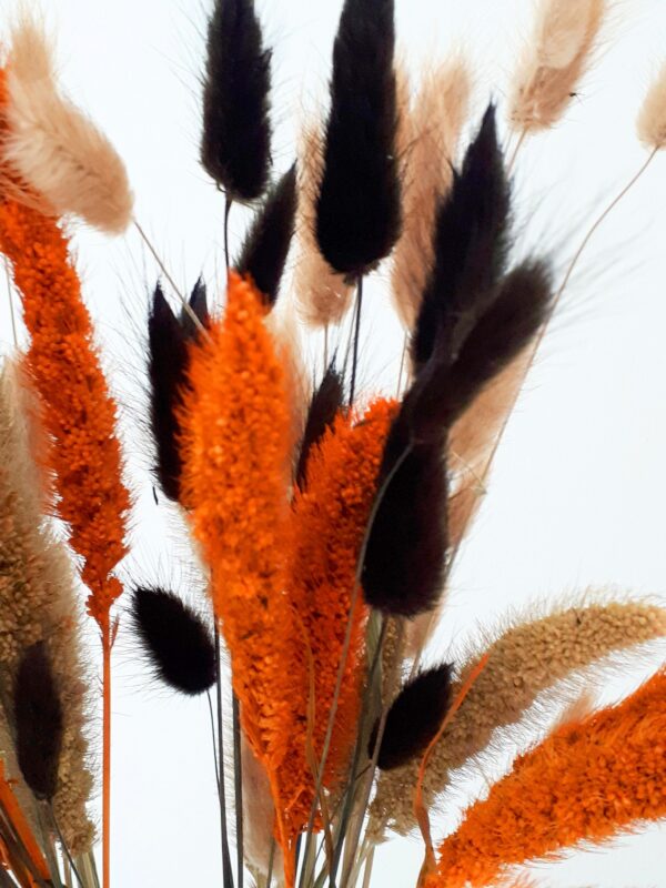 Orange, black and neutral dried grasses