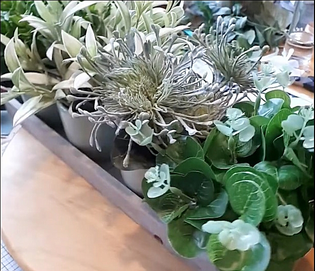 Tray of little pots filled with faux greenery with different greens and textures