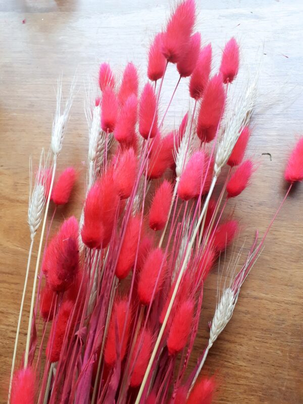 Picture of bunny tail dried grasses dyed bright cerise pink. There are also some stems of natural wheat in the bunch