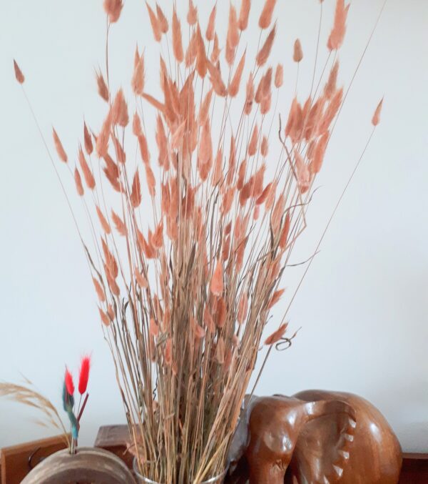 Picture of bunny tail grasses dyed a coppery colour. There is also a carved wooden elephant in the photo