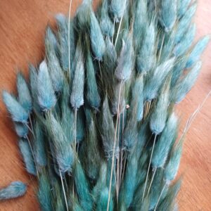Image showing a bunch of jade green lagurus dyed grass