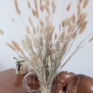 Picture of natural dried bunny tail grasses on a table with a carved wooden elephant