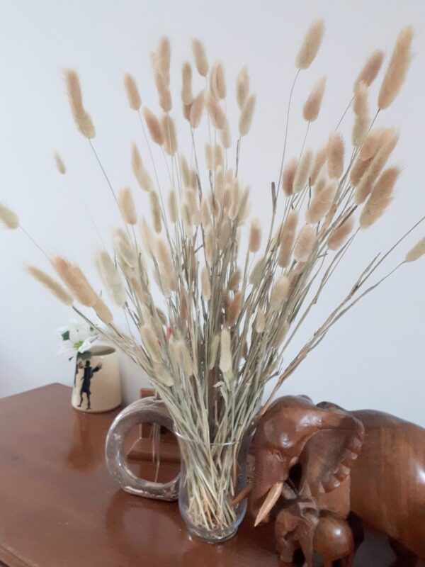 Picture of natural dried bunny tail grasses on a table with a carved wooden elephant