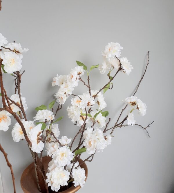 Vase of white cherry blossom branches