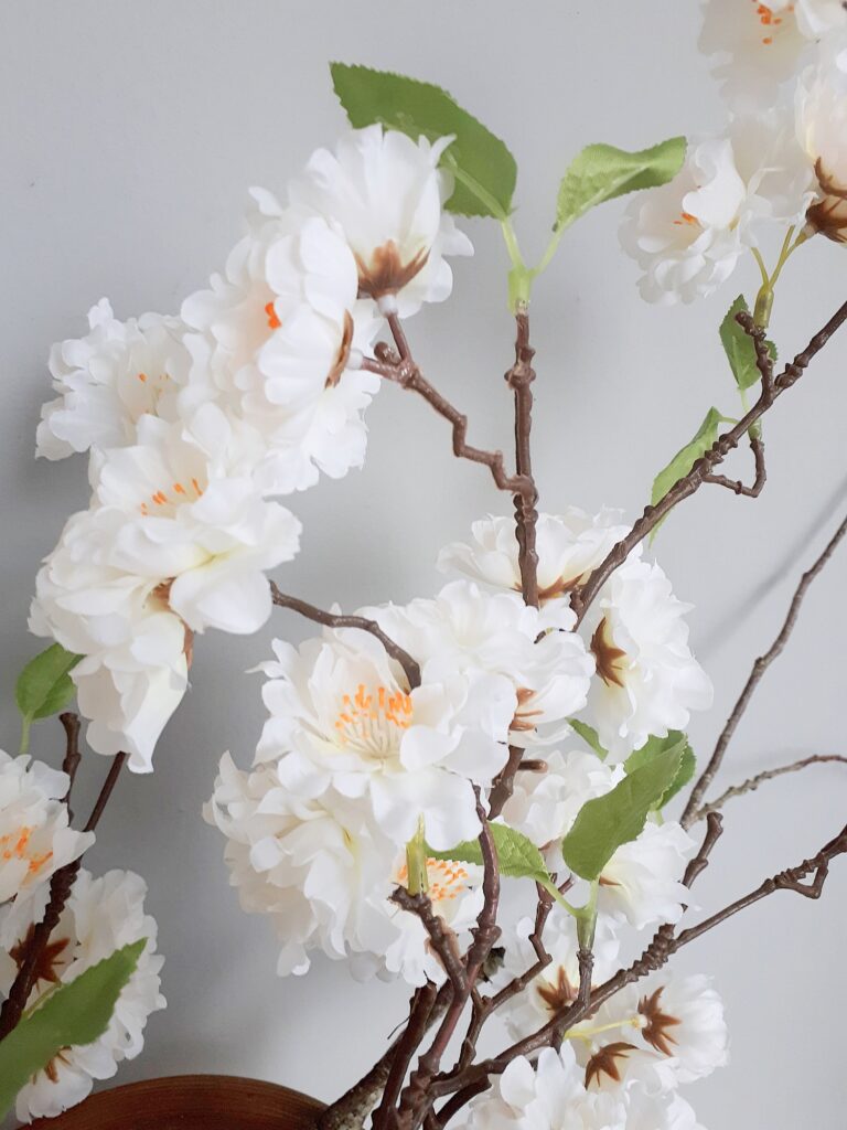 Vase of white cherry blossom branches