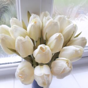 Cream silk tulips - close up showing the delicacy of their petals