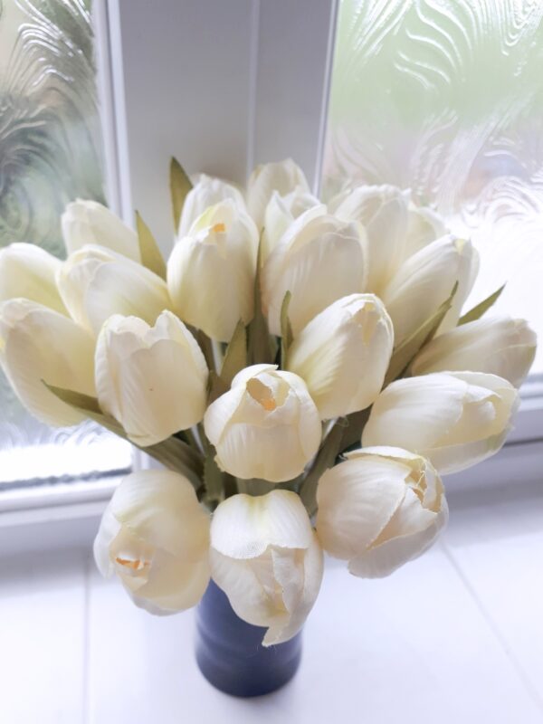 Cream silk tulips - close up showing the delicacy of their petals