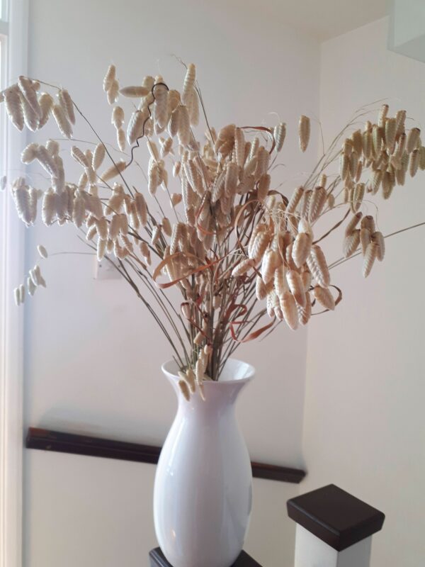 Image of quaking grasses in a white vase