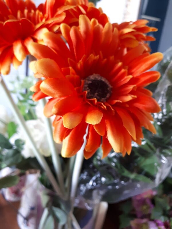 Image of deep orange gerbera flower