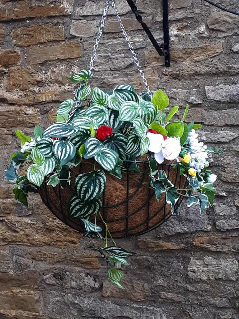 Image of hanging basket with green and white leaves, and flowers in colours of red, white and yellow