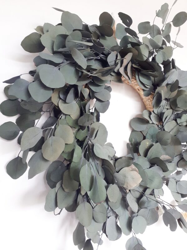 Close up photo of blue grey preserved eucalyptus in a wreath