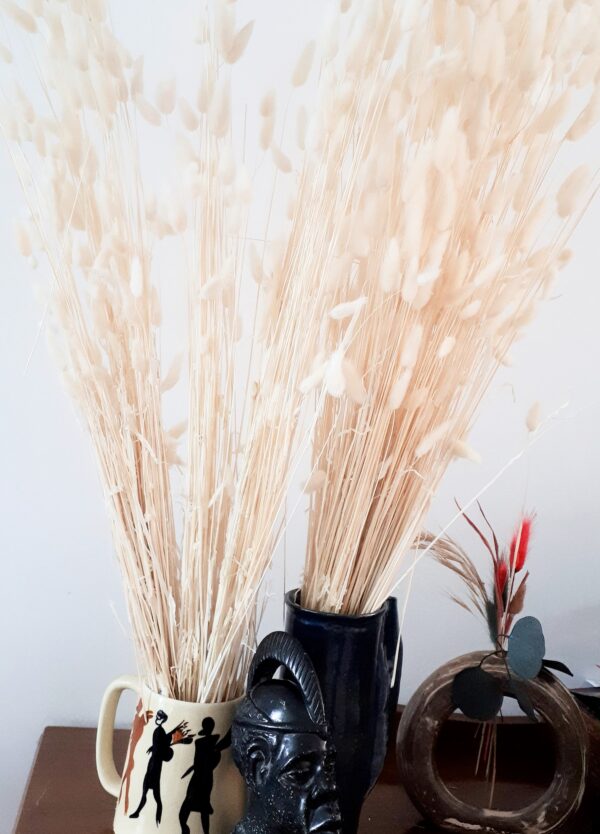 Image of bleached white lagurus dried grasses - bunny tails - in ceramic containers