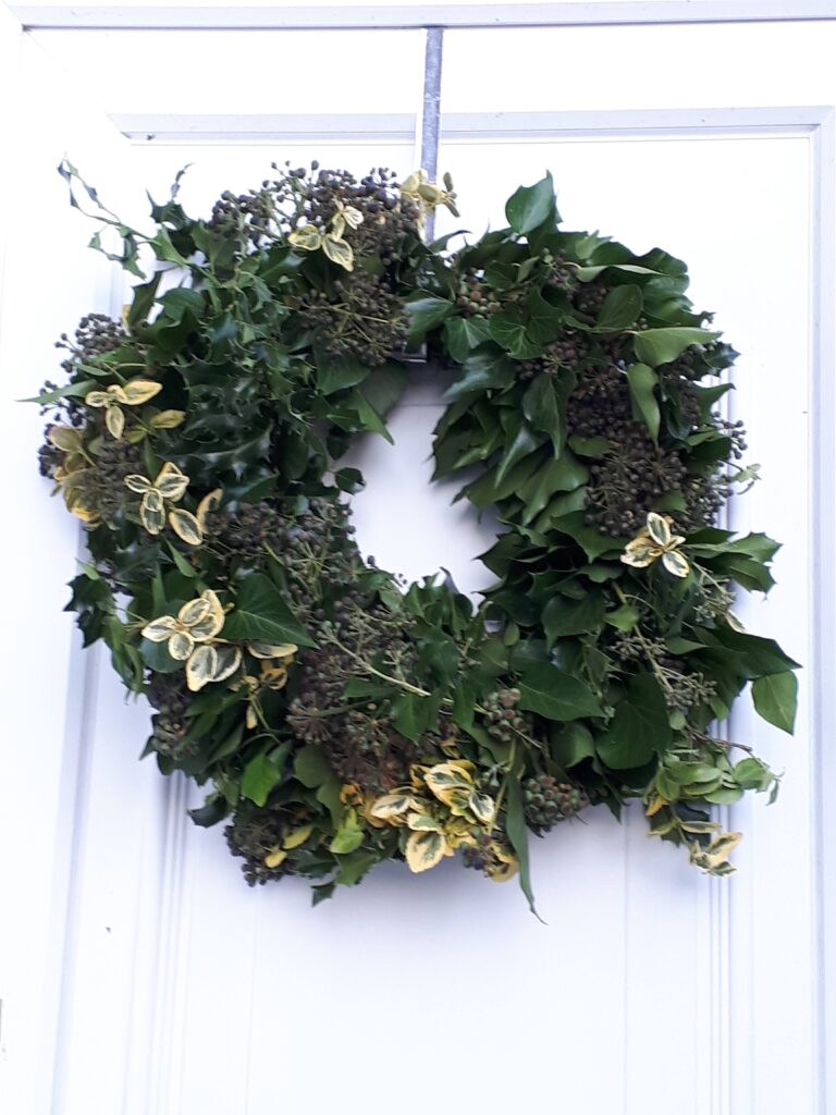 Image of a door wreath made with fresh ivy and ivy flower seed heads