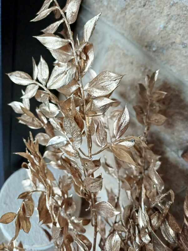 Close up of gold preserved ruscus branches