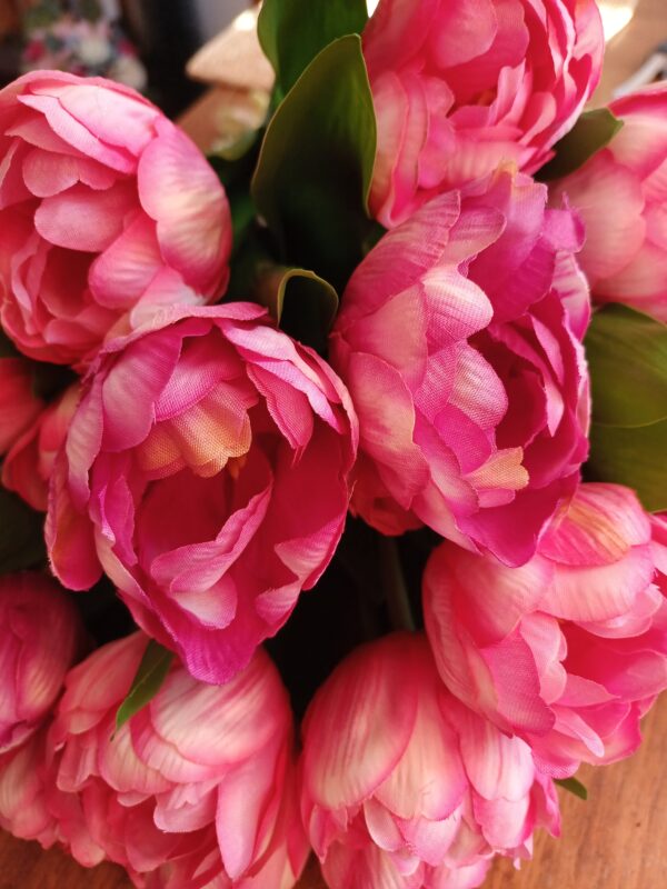 Pink variegated tulips