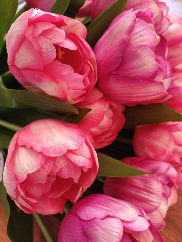 Pink variegated tulips