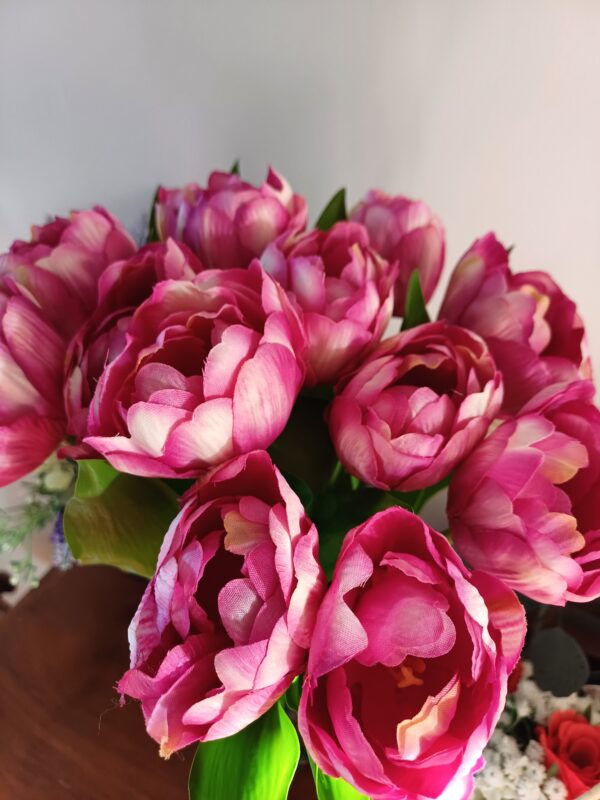 purple variegated tulips