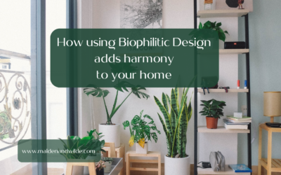 How using Biophilitic design adds harmony to your home