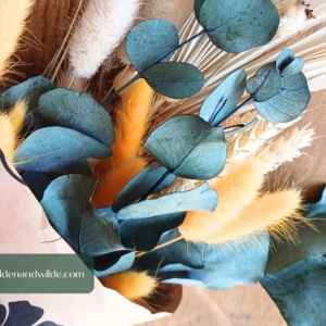 Image of dried grasses and flowers, blue, orange and neutral colours