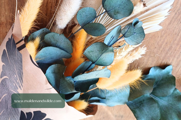 Image of dried grasses and flowers, blue, orange and neutral colours