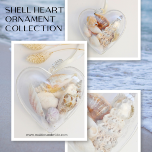 Shell heart ornament collection