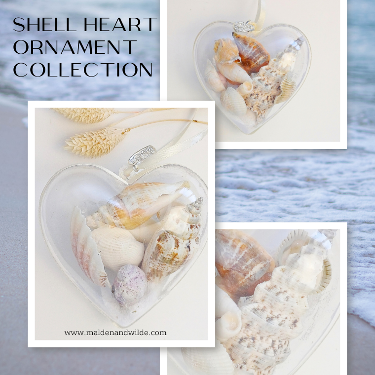 Shell heart ornament collection