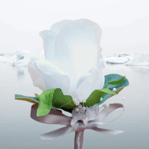 White silk rose buttonhole