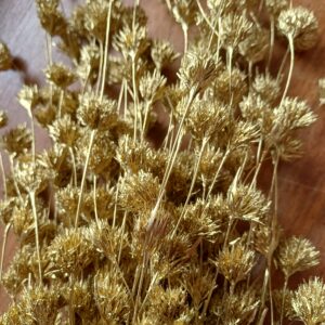 cascading dried gold weeping bamboo bunch