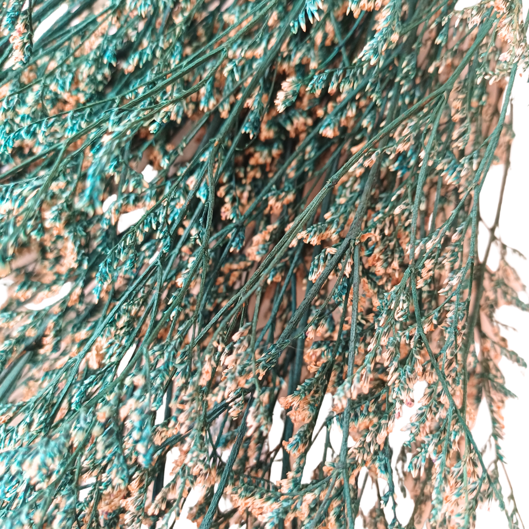 Image of delicate teal preserved love grass