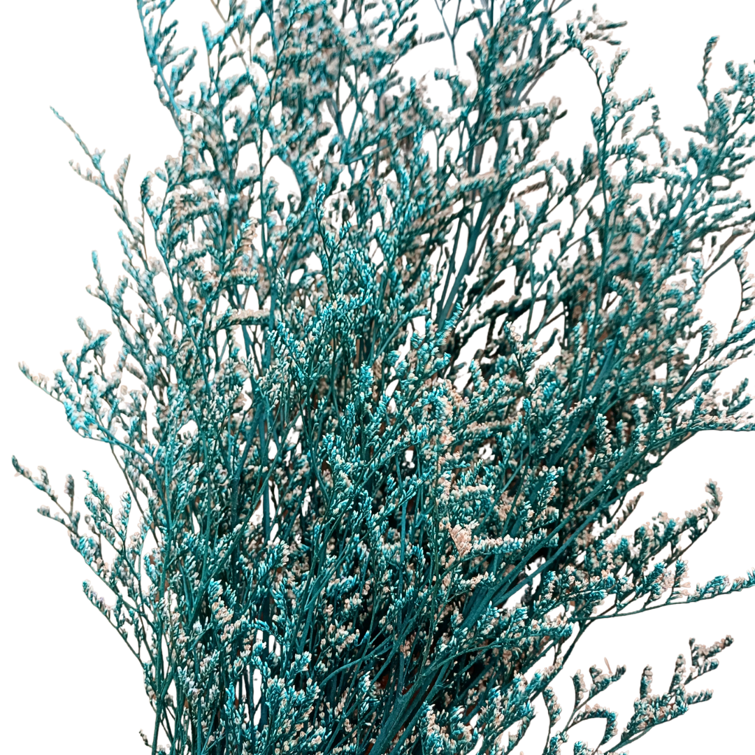 Image of delicate teal preserved love grass, shows individual sprigs and contrasting neutral colour of tiny flowers
