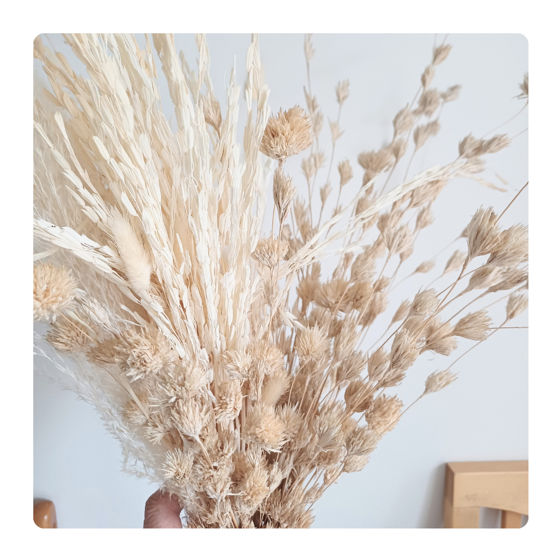 MIxed neutral dried grasses bunch, including dried weeping bamboo flowers, dried rise flowers, dried bunny tail grasses and silvery grasses like pampas